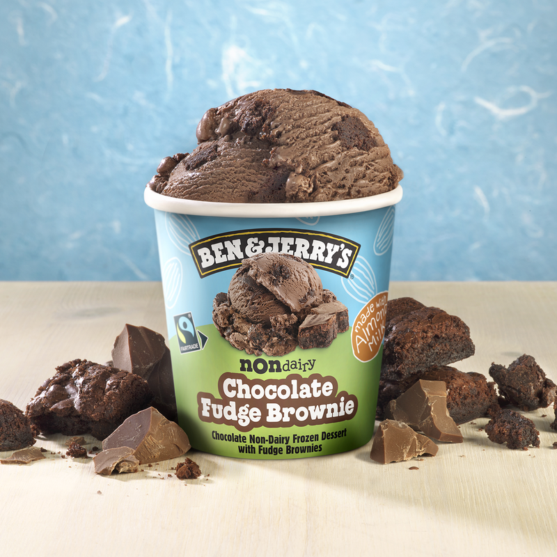 Ben & Jerry's Non-Dairy Chocolate Fudge Brownie Frozen Dessert Pint