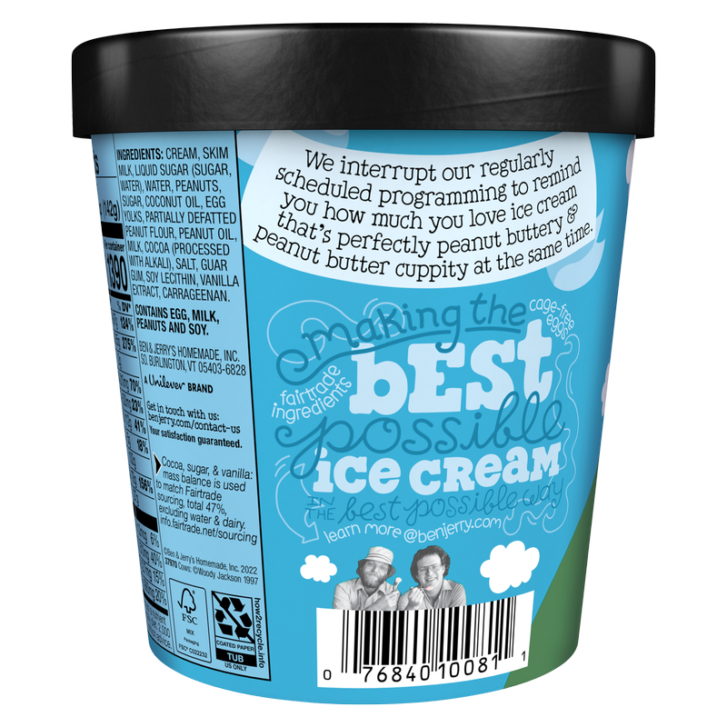 Ben & Jerry's Peanut Butter Cup Ice Cream Pint