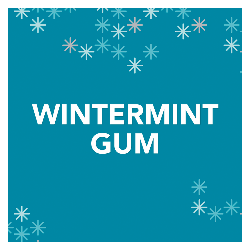 Orbit Wintermint Gum 14ct