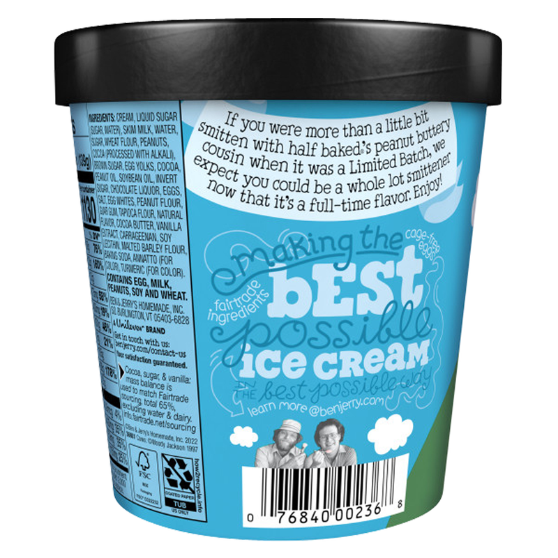 Ben & Jerry's Peanut Butter Half Baked Ice Cream Pint