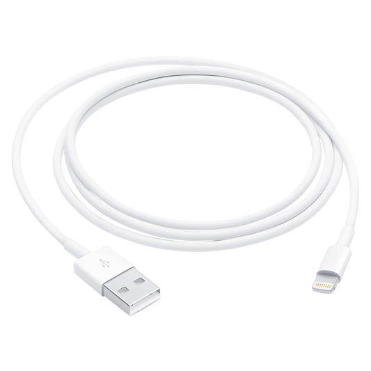 Apple Lightning to USB Cable (1 m)