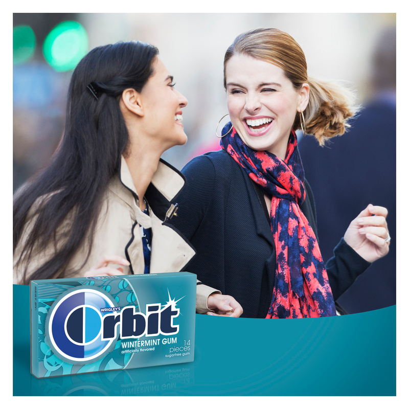 Orbit Wintermint Gum 14ct